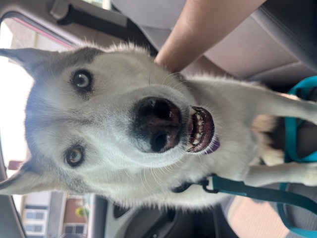 Luna