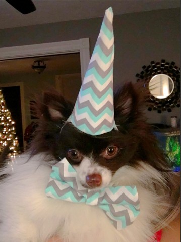 Bowie